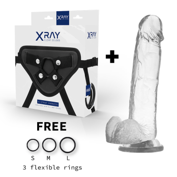 Xray Harness + Cock With Balls 22Cm X 4.6Cm