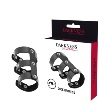 DarknessTrade - Adjustable Leather Double Penis And Testicle Ring