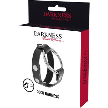 DarknessTrade - Bdsm Cock And Testicle Ring