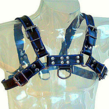 Leather Body Chest Bulldog Harness Black/Blue Leather