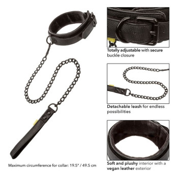 Calex Boundless Collar And Leash