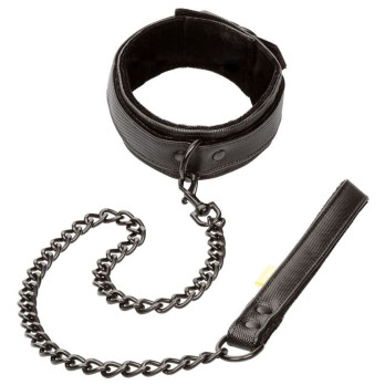 Calex Boundless Collar And Leash