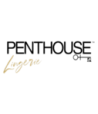 PENTHOUSE CHEMISE